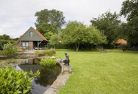 Три дерева, які не пускають в дім відьом та чаклунів: народні прикмети