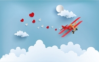 Літак «намалював» серце у небі над Луцьком (ФОТО)