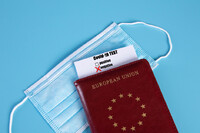 Українських заробітчан затримали на кордоні з підробленими ковідними паспортами
