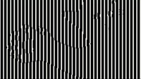 Оптична ілюзія для найкмітливіших: Знайдіть тварину за 5 секунд (ФОТО)