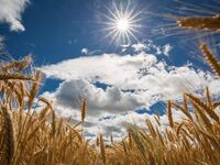 Літо ще погріє: Підвищення градусів очікується на Рівненщині