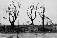 Дерева, які вижили після удару атомної бомби, розводить пенсіонер у Гощі (ФОТО)