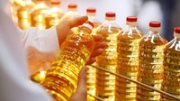 Україна втратила половину врожаю соняшнику: олія стане воістину «золотою»