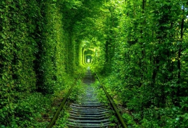 Фото ілюстративне, Тунель кохання у Клевані