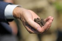 Навіщо на похороні кидають жменю землі в могилу: сенс традиції, що об’єднує культури