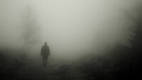 На Рівненщині — туман: Мешканцям області нагадати правила безпеки у таку погоду