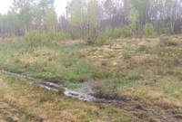 «Сморід — нестерпний!»: у ліс на Рівненщині злили нечистоти (ФОТО, ВІДЕО)