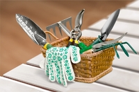 Як швидко очистити садові інструменти від іржі: Прості рецепти