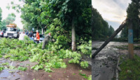 Повалені дерева, затоплені вулиці та постраждалий: страшна негода накрила Житомир (ФОТО) 