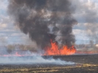 Підпалювачі сухостою ледь не спалили три житлові будинки на Рівненщині