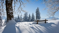 Засипле снігом: синоптики дали прогноз погоди на січень 2020 року (ТАБЛИЦЯ)
