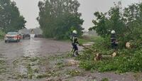 Негода на Рівненщині: потоки води, повалені дерева; в Костополі – потопельник (ДСНС)
