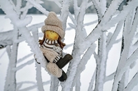 Зима в листопаді: Карпати засипає снігом (ФОТО/ВІДЕО)