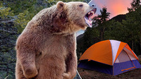 Ведмідь серед ночі витягнув жінку з намету та вбив її (ФОТО)
