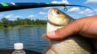 Забутий рибальський трюк: Копійчана добавка, що активує клювання карася і ляща