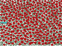 Лише одиниці знайдуть в маках краба за 8 секунд