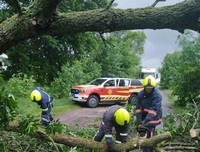 Вітром повалило дерево на дорогу на Рівненщині. Прибирали рятувальники