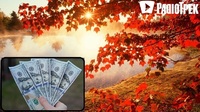 Яким буде курс долара до кінця жовтня: прогноз аналітиків