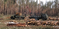 Чому лісгоспи Рівненщини бояться реформи? 