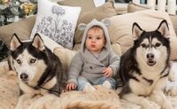 Милі породи собак, які не підходять для сім'ї з дитиною