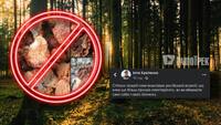 Люди плутають та гинуть: українців попередили про отруйні гриби, схожі на їстівні (ФОТО)