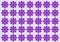 Лише гострозорий геній зможе побачити «дивну квітку» 