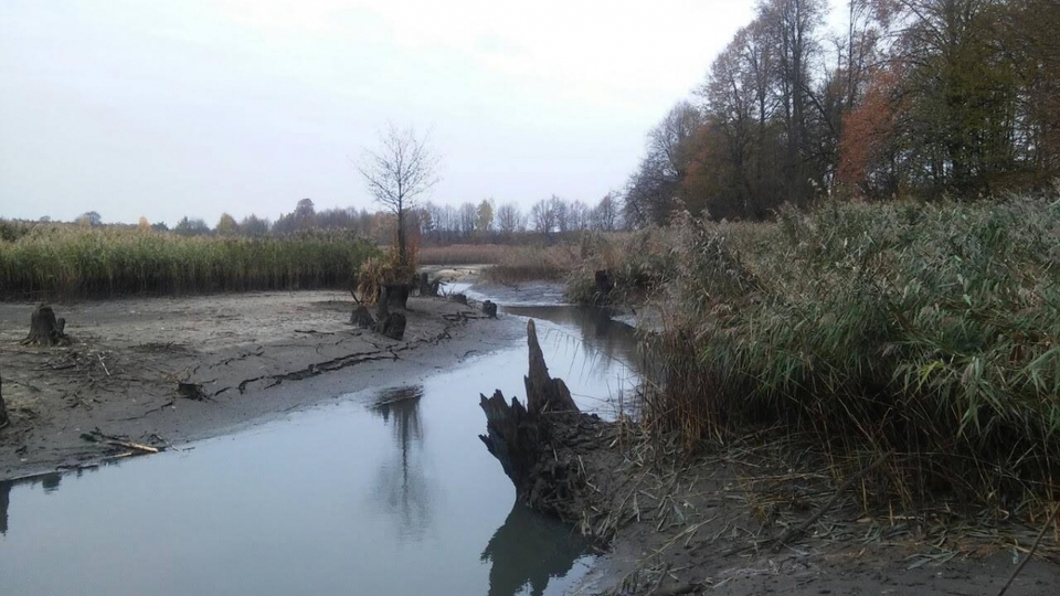 Після пониження рівня води у річці дно довелося чистити