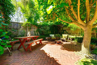 Які дерева мають рости біля будинку, щоб відганяти негативну енергетику: народні прикмети