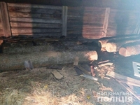 У дворі на Рівненщині знайшли крадені дуби (ФОТО)