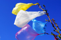 Магазинам Рівного рекомендують обходитись без поліетиленових пакетів