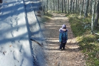 2-річного хлопчика знайшли у лісі на Житомирщині (ФОТО/ВІДЕО)