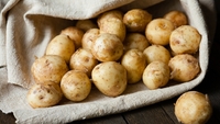 Чому картопля в Україні не дешевшає