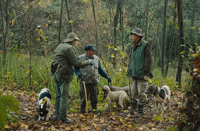 Фото з відкритих джерел