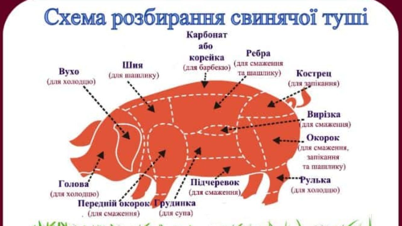 Частини свинини