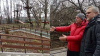 «Класні сходи у зоопарку». Ковальчук про проєкти у Рівному (ФОТО/АУДІО)