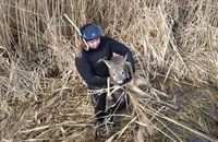 На Рівненщині з тонкої криги врятували козулю (ФОТО) 