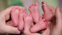 Одразу три маленькі дива: у Рівному народилася трійня дівчаток