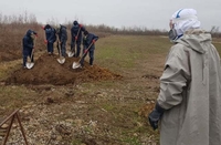 600 могил для жертв коронавірусу викопали у Дніпрі. А в Рівному?