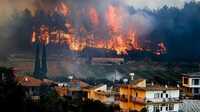 У Туреччині через пожежу евакуювали українських туристів