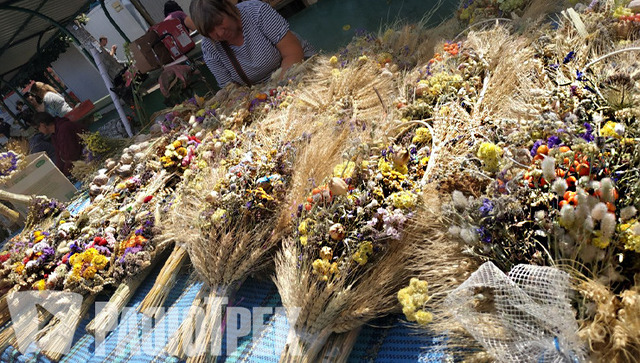 Dried Flowers, SKfleurmarket