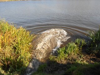 Таким чином у Рівному систематично забруднюють озеро на Басовому Куті. Фото з сайту "ЧаРівне".