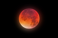 Кривавий Місяць у березні 2026: рідкісне затемнення