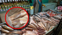 Риба-сміттярка: улюблену рибу на ринках не радять купувати навіть продавці 