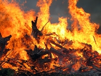 Пожежа на Рівненщині забрала життя трьох осіб