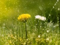 Заморозки йдуть геть з України