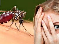 Як захиститися від навали комарів: поради дерматолога з Рівного 