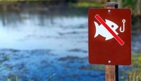 Заборону на вилов риби та раків запровадили на Рівненщині