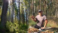 Декілька ящиків, відер та пакетів грибів назбирали у лісі на Рівненщині (ФОТО)