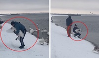 Біля Острога люди ловлять лебедів, щоб зробити гарні фотки (2 ВІДЕО)