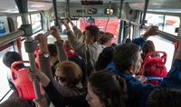 Куди їздять бабусі у переповнених тролейбусах Рівного (6 ФОТО)